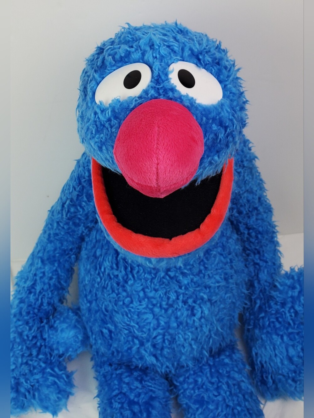 Sesame Street Sesame Place VTG 2005 Grover Exclusive Plush Stuffed Animal - GUC